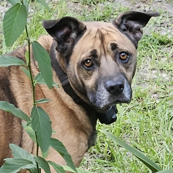 FRIDAY's THEME LIVE SHOWS NOTIFICATION |  jems_menagierie - Picture 7 of 15